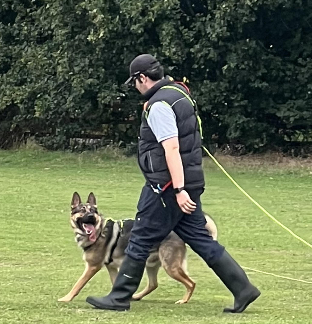 Man walking a German Shepherd across a grass field on a long line