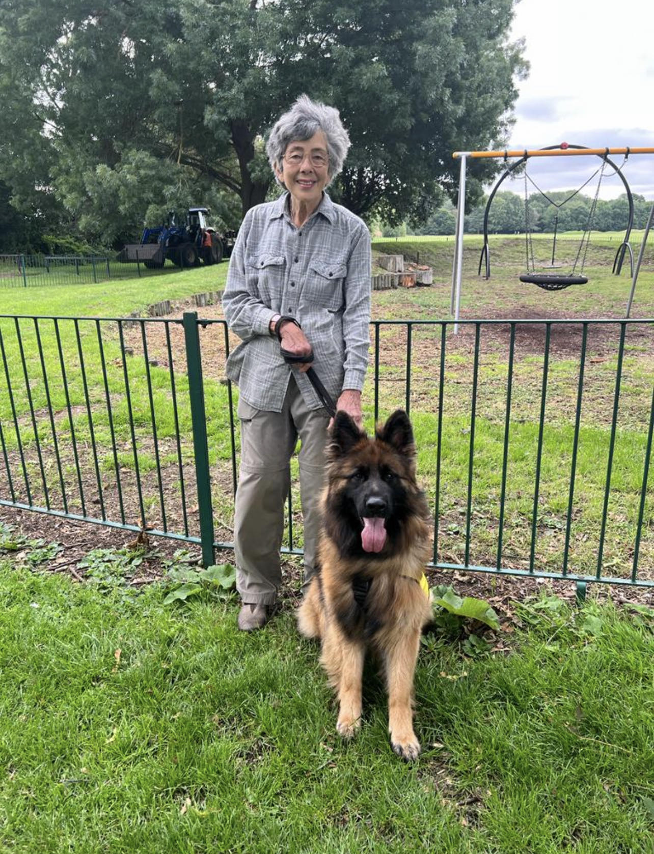Dog owner standing on grass with a long-haired German Shepherd