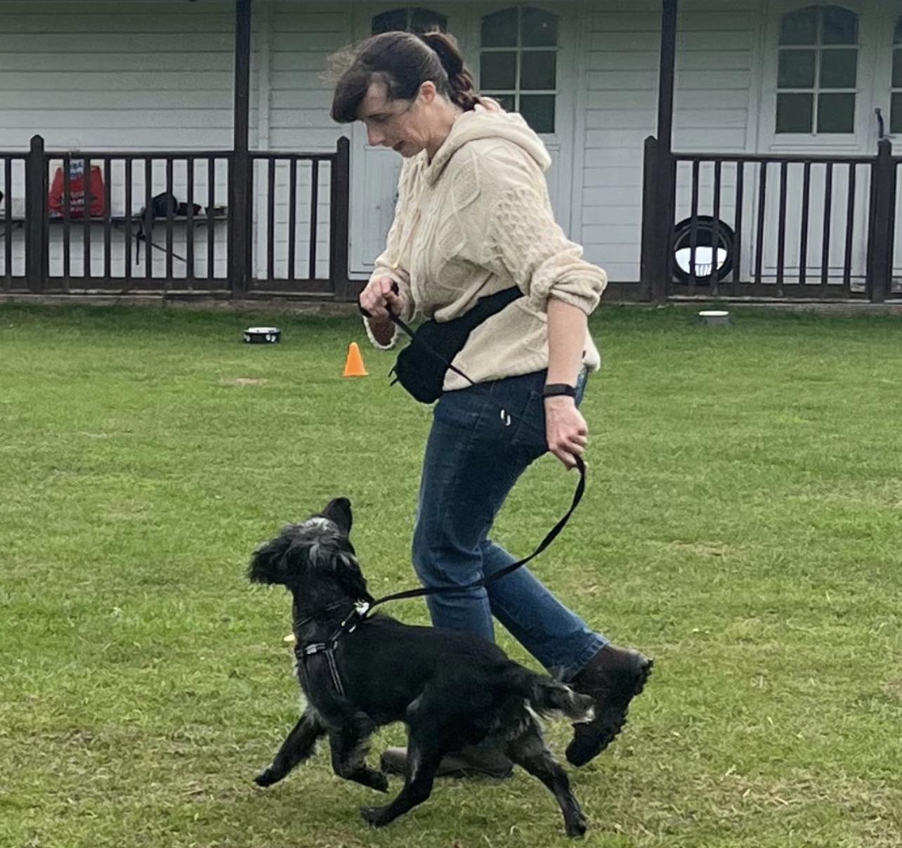 Handler heeling a black Cocker Spaniel on a lawn