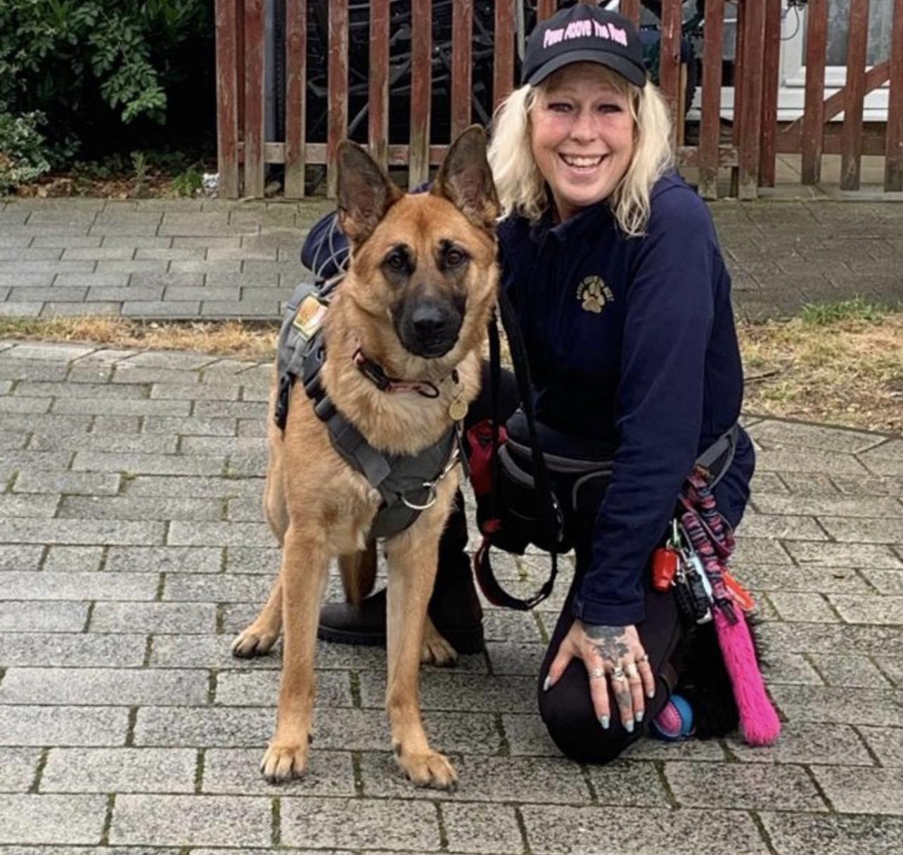 Handler kneeling beside a German Shepherd wearing a harness